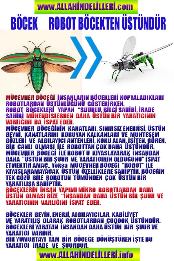 proofs of god, evidences of god 