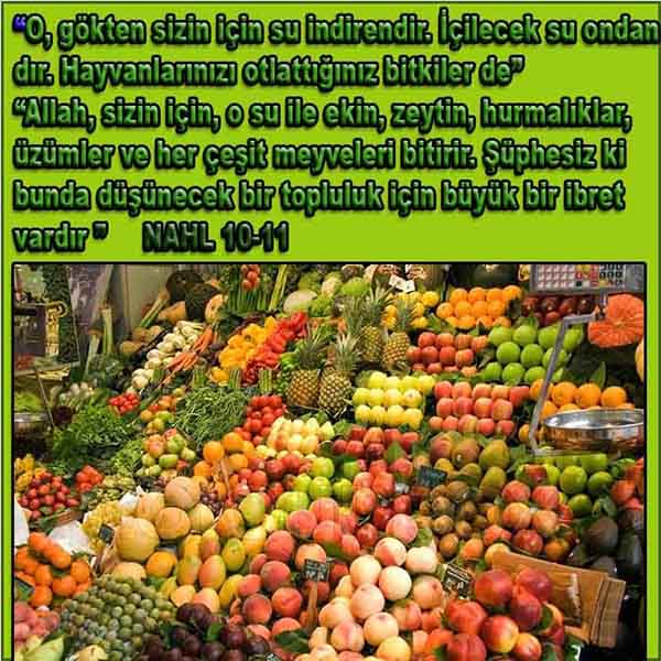 proofs of god, evidences of god