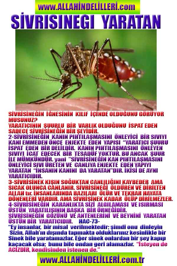 proofs of god, evidences of god