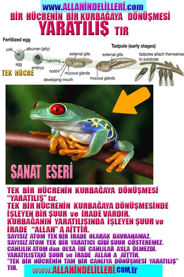 proofs of god, evidences of god 