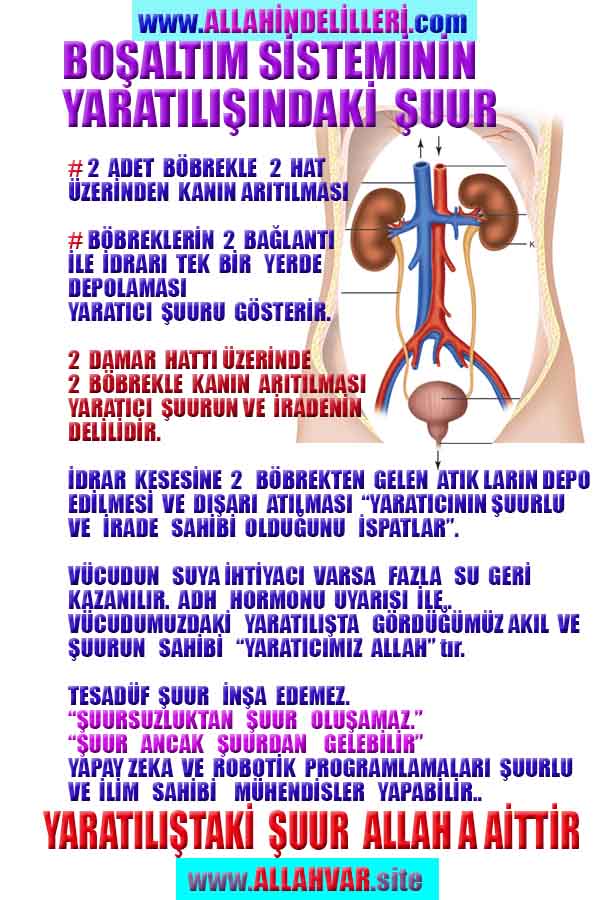proofs of god, evidences of god