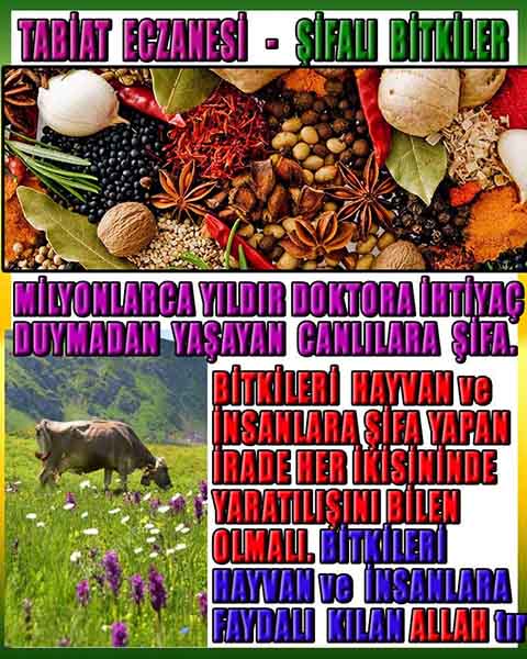 proofs of god, evidences of god 